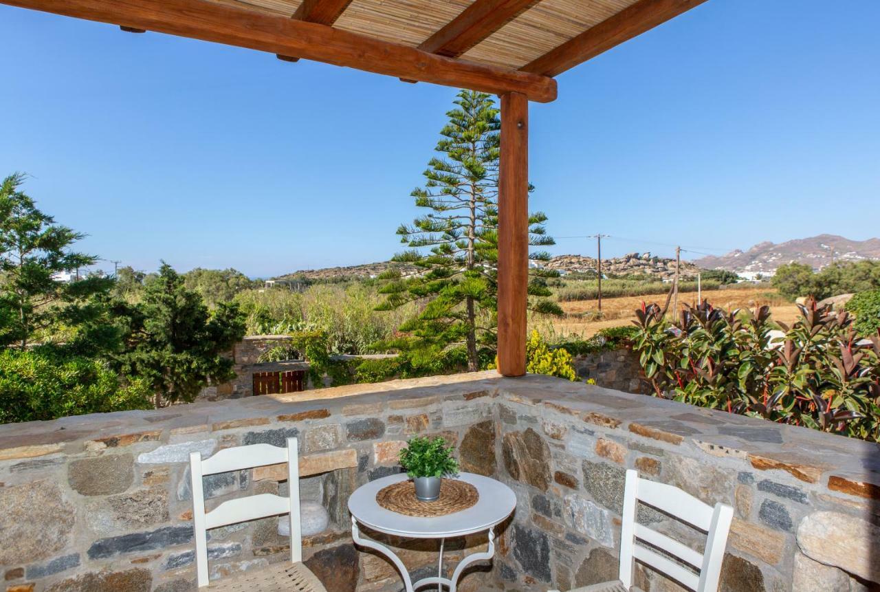 Thea Suites Naxos Agios Prokopios  Exteriér fotografie